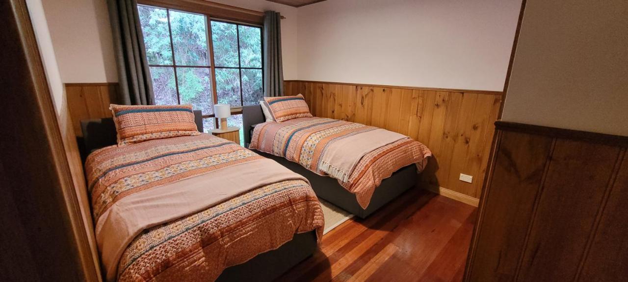 Tall Trees Eco Retreat - Blackwood Cottage Apollo Bay Extérieur photo