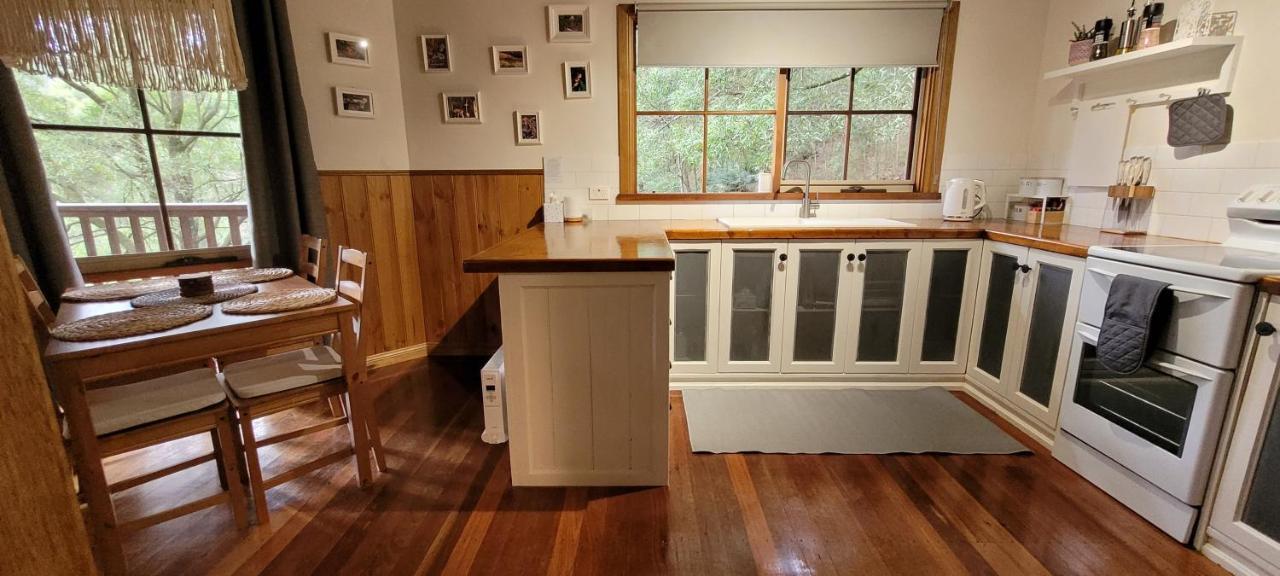 Tall Trees Eco Retreat - Blackwood Cottage Apollo Bay Extérieur photo