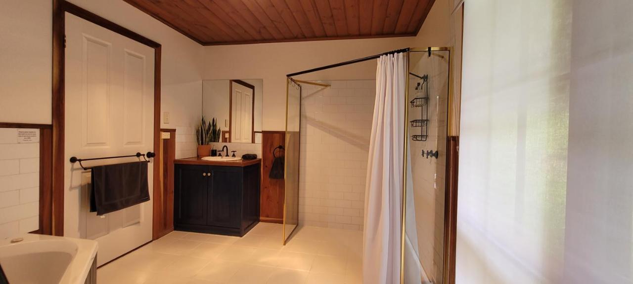 Tall Trees Eco Retreat - Blackwood Cottage Apollo Bay Extérieur photo