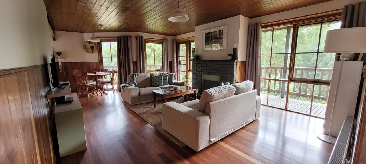 Tall Trees Eco Retreat - Blackwood Cottage Apollo Bay Extérieur photo