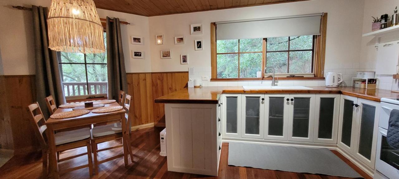 Tall Trees Eco Retreat - Blackwood Cottage Apollo Bay Extérieur photo