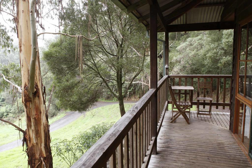 Tall Trees Eco Retreat - Blackwood Cottage Apollo Bay Extérieur photo