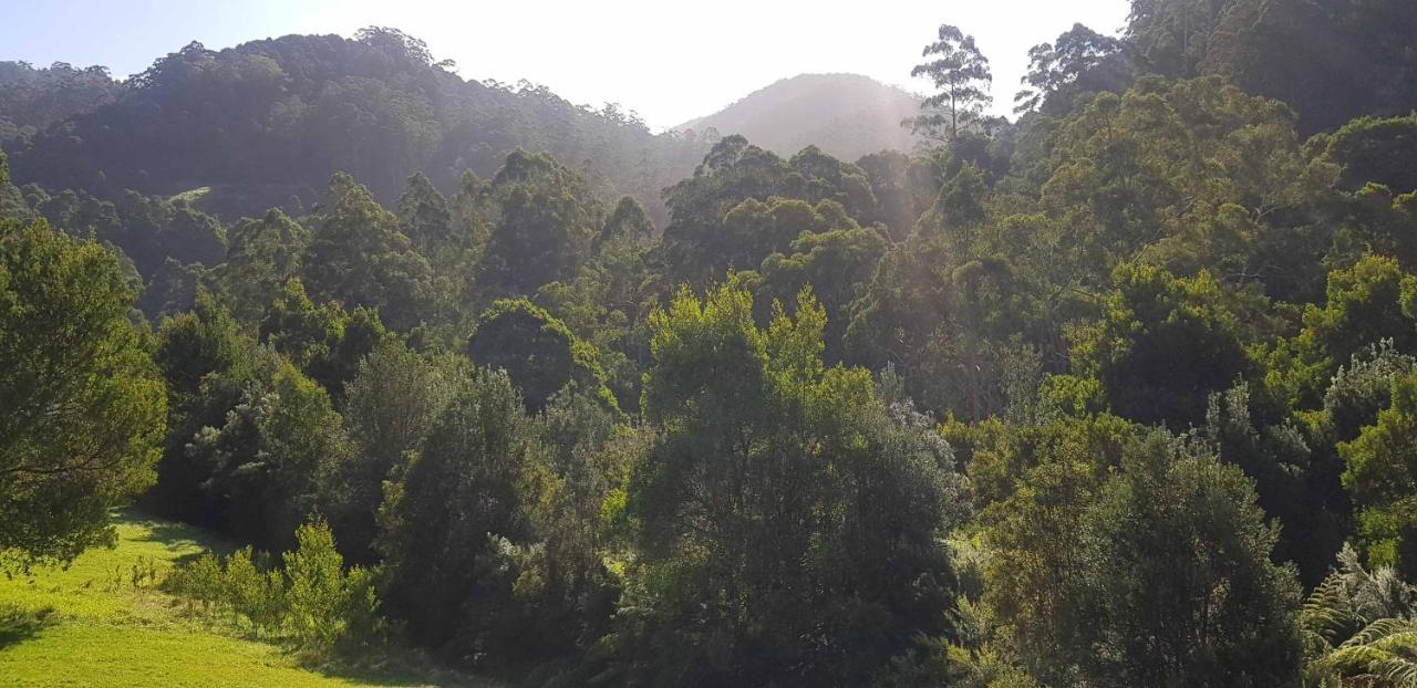 Tall Trees Eco Retreat - Blackwood Cottage Apollo Bay Extérieur photo